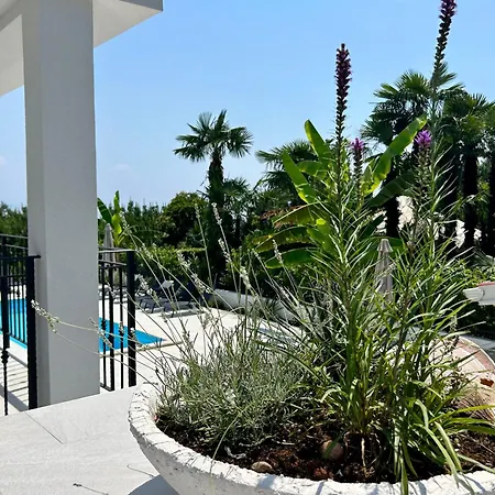 Palma Apartment *