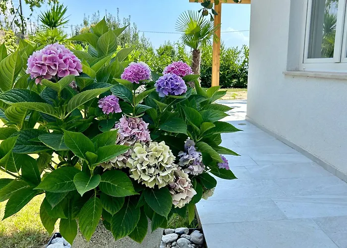 Palma アパート *