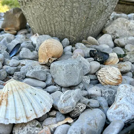 Διαμέρισμα Palma Lovran