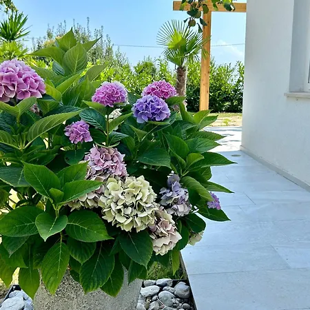 Palma Apartman *